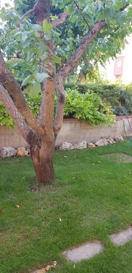 Bed and Breakfast Sassi's Loft Matera Esterno foto